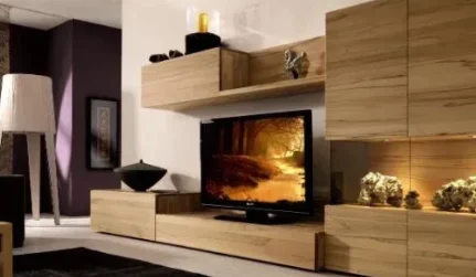 entertainment storage